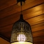 Hotel Alves
