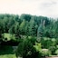 Allyndale Motel