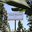 Wild Palms Hotel