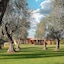 Villa Barbarina Boutique Resort - Nature - Hotel & Restaurant - Alghero