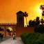 Riad Hannah