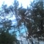 Loona Hotel