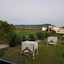 Eleni's Garden & Castello Suites