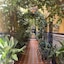 Hostal Atenas