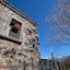 Bosco Ciancio