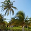 Caribbean Villas Hotel