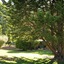 Peppermint Brook Cottages