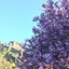 Edinburgh 37