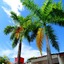 Alborada Hotel Melgar