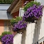 Hotel Morgensonne