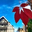 Romantik Hotel Braunschweiger Hof