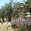 Tropic Hotel