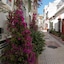 H Juan Vivienda Turística