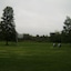 Orangeville Motel