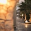 Creta Vitalis