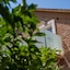 Azur Palace Luxury Rooms