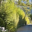 The Haven And Spa - Health And Wellness Accommodation - Adults Only