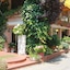Hotel Derby