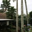 Joaquin's Bed And Breakfast