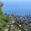 L'eco Dell'800