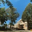Ming Ging Farm