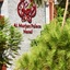 Al Murjan Palace Hotel