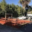 Siesta Motel
