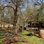 Phumula Kruger Lodge