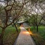 Vuyani Safari Lodge