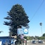 Blue Seal Inn