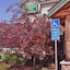 MountainView Lodge & Suites