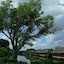 Mekong Riverside Boutique Resort & Spa