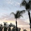 Sky Palm Motel