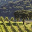 Cordevalle