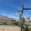 Desert Vacation Villas