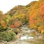 Takaragawa Onsen Osenkaku