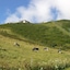 Il Bosco