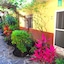 Ajijic Plaza Suites