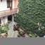 Gołębia 8 Residence