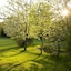 St Pierre Park Hotel & Golf