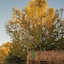 Grand Canyon Bed And Breakfast