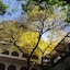 Hotel Chicala