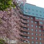 City Hotel Xiamen