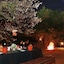 Mara Eden Safari Camp