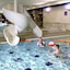 Santa Sport Hotel