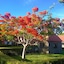 Coralview Island Resort