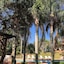 Pousada Villabella Villaggio