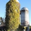 Saratoga Farmstead B&B