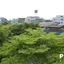 Primetime Hotel