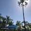 Lani's Holiday Island - Caravan Park